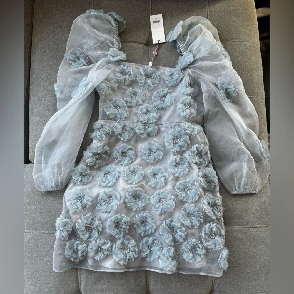 NWT LOVESHACKFANCY Wells appliquéd organza mini dress in blue size 4 - Picture 9 of 12